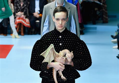 collezione gucci cina 2018|Gucci baby dragon.